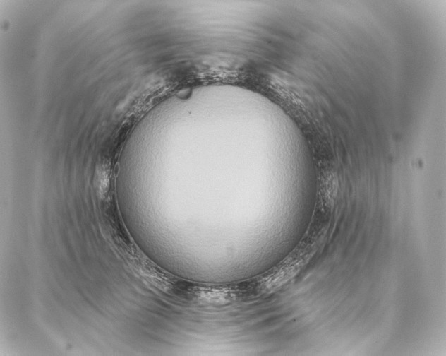 X0000086950709200704231426