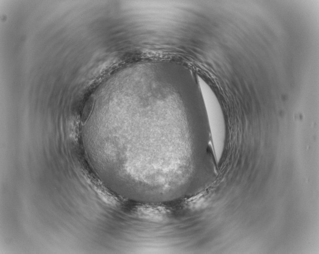 X0000086950712200704231425