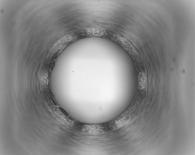 X0000086950713200704231425