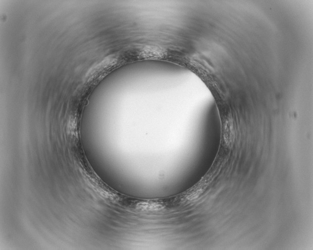 X0000086950714200704231425