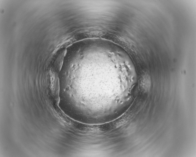 X0000086950715200704231425