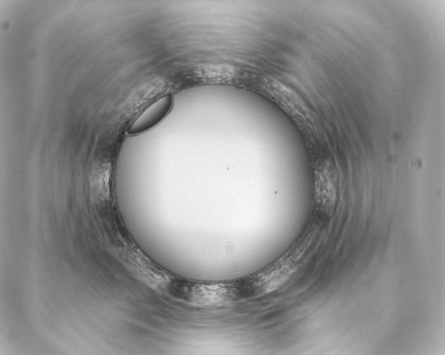 X0000086950717200704231425