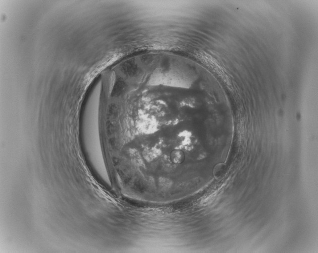 X0000086950721200704231425