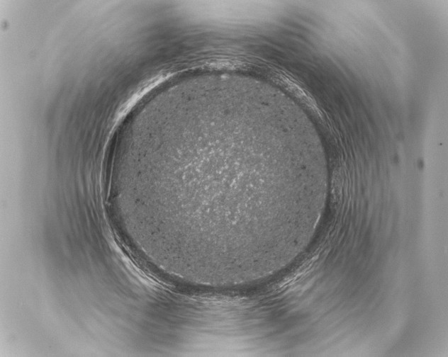 X0000086950722200704231425