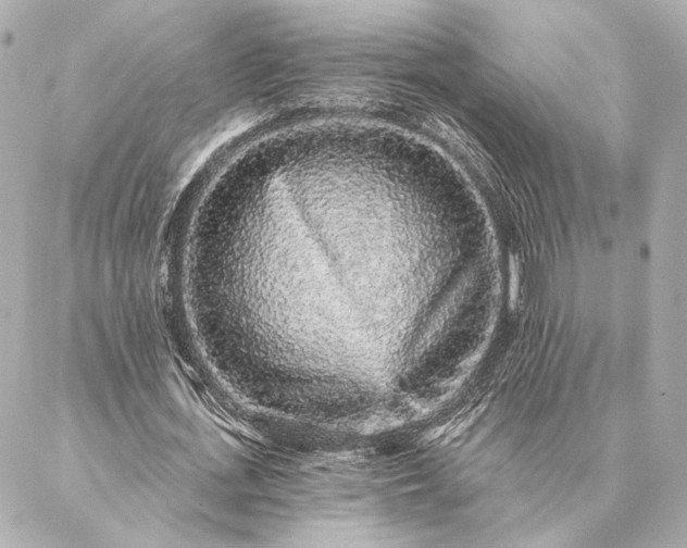 X0000086950723200704231425