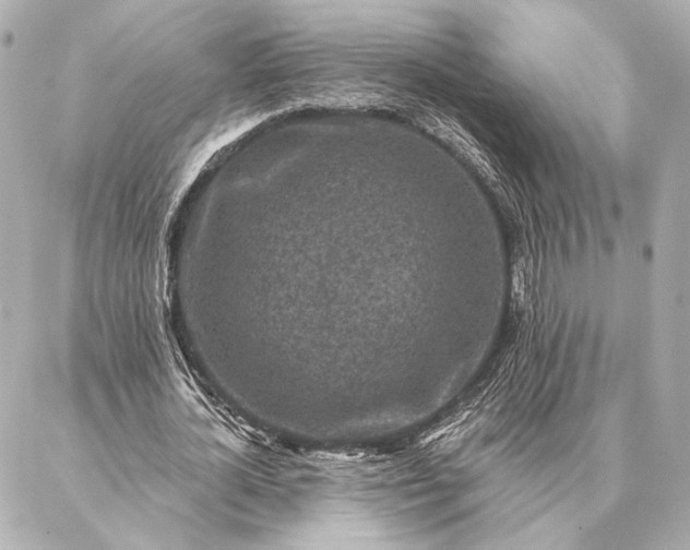 X0000086950724200704231425