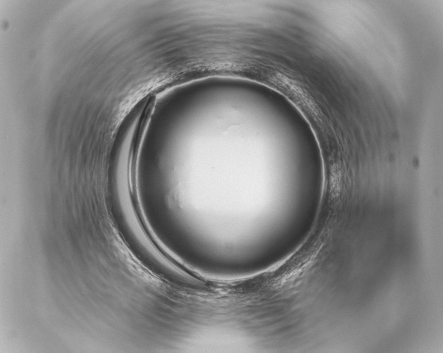 X0000086950725200704231425