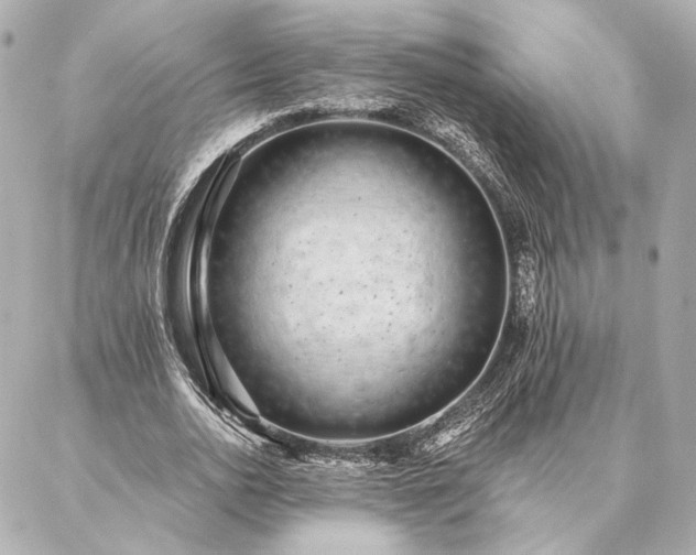 X0000086950726200704231425