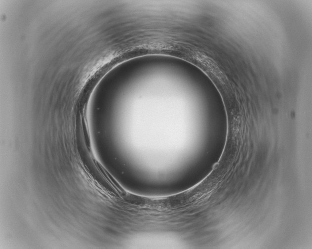 X0000086950727200704231425