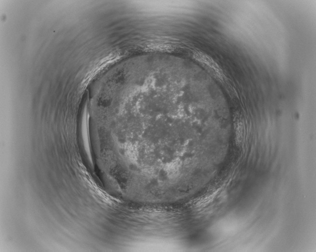 X0000086950729200704231425