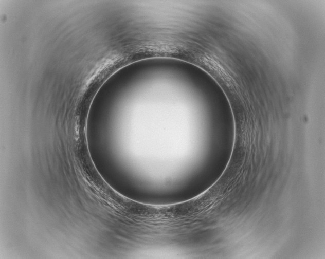 X0000086950731200704231425