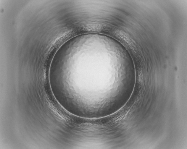 X0000086950733200704231425