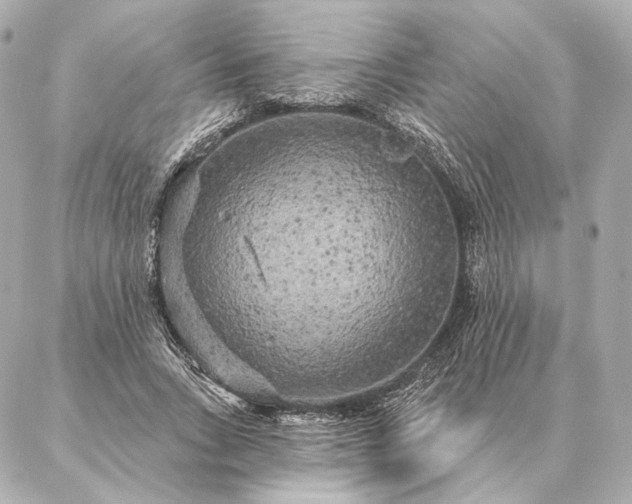 X0000086950735200704231425