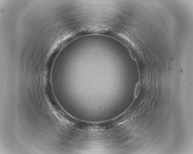 X0000086950736200704231425