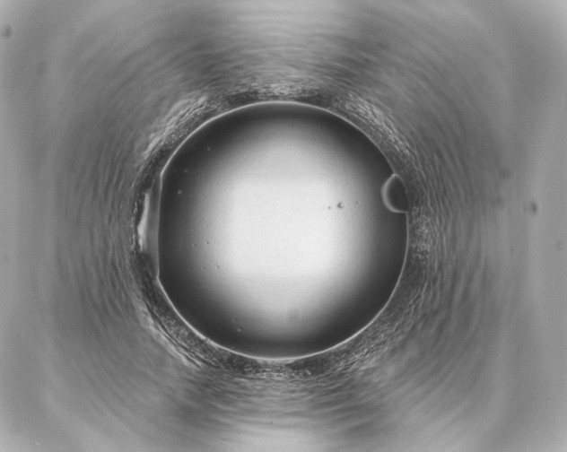 X0000086950738200704231425