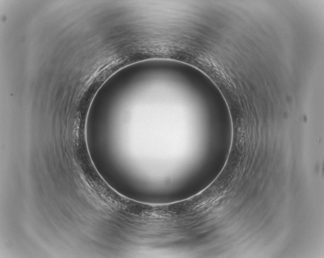 X0000086950739200704231425