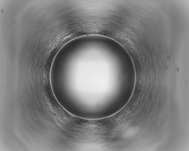 X0000086950743200704231425