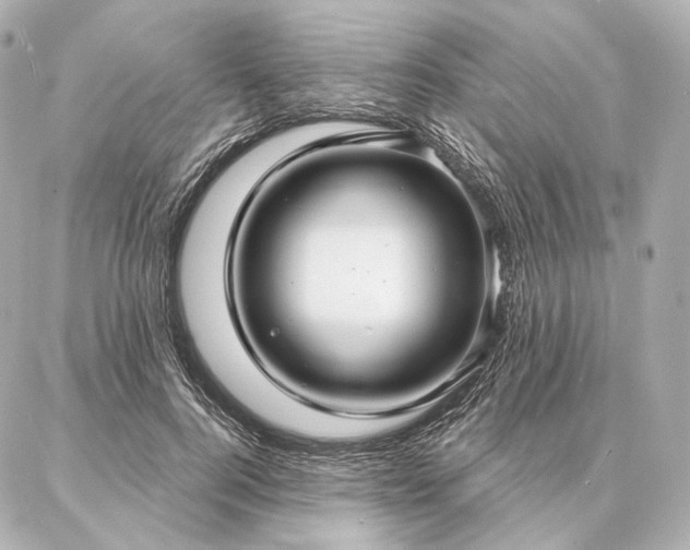 X0000086950744200704231425