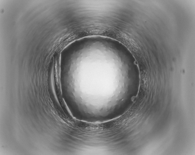 X0000086950745200704231425