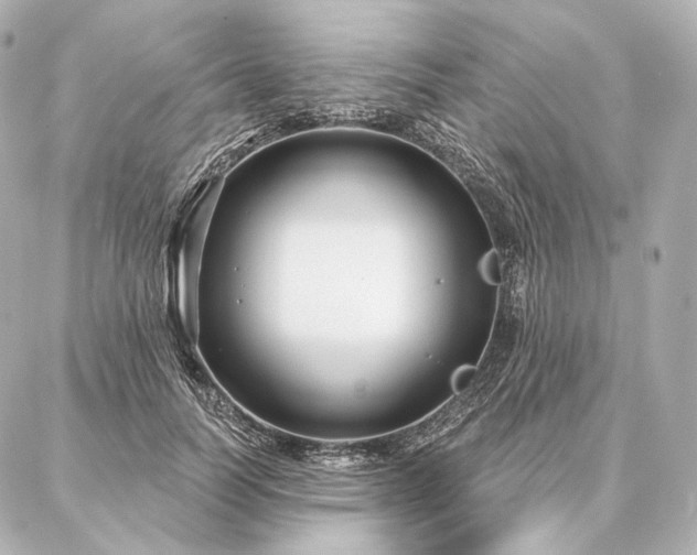 X0000086950746200704231425