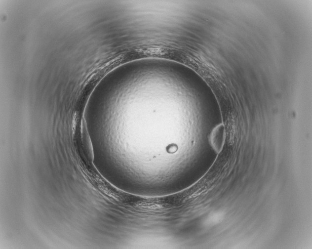 X0000086950747200704231425