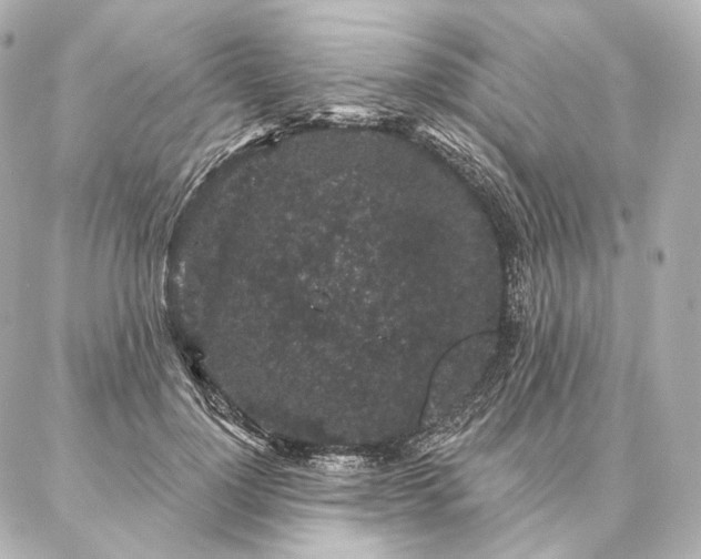 X0000086950748200704231425