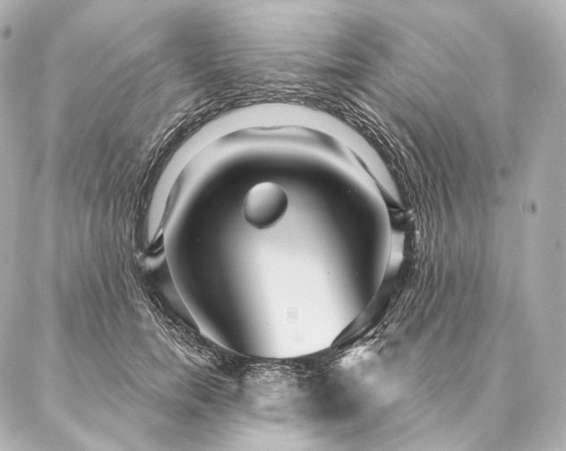 X0000086950750200704231425