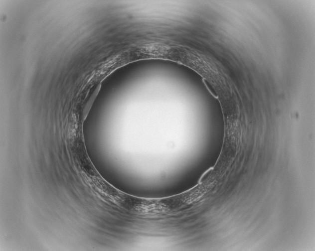 X0000086950752200704231425