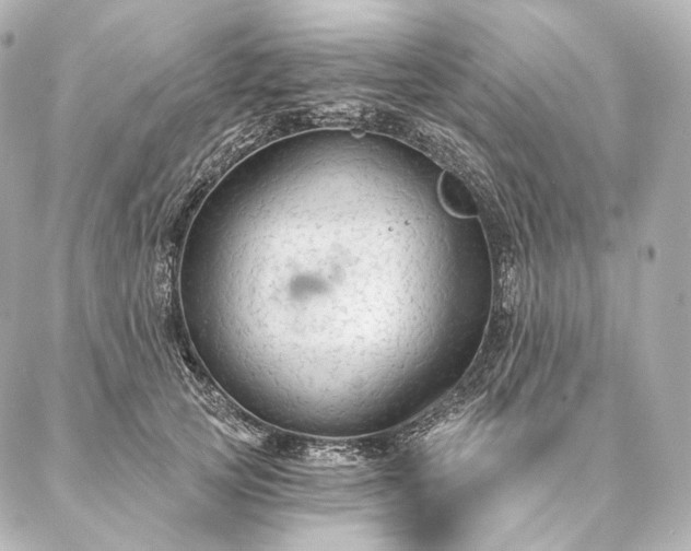 X0000086950753200704231425