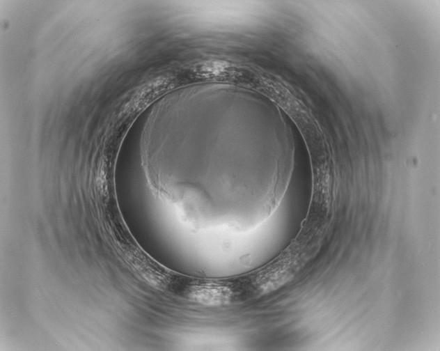 X0000086950754200704231425