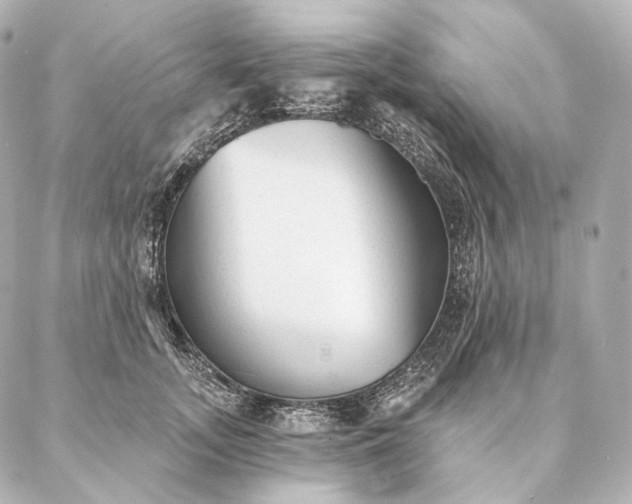 X0000086950755200704231425