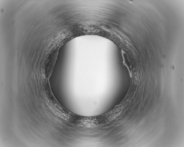 X0000086950756200704231425