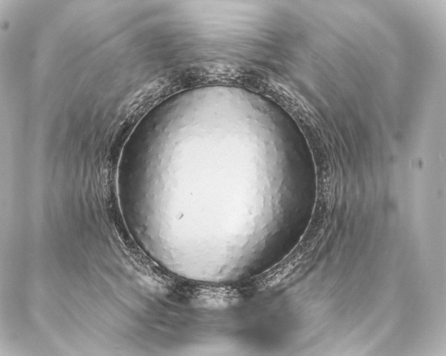 X0000086950757200704231425