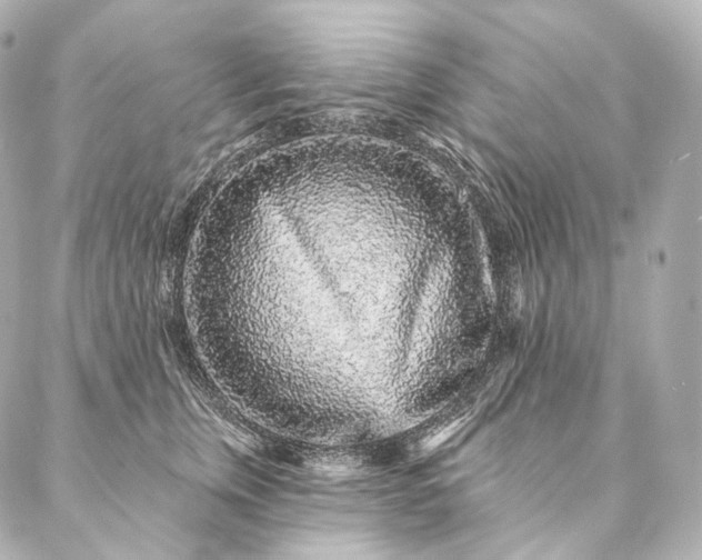 X0000086950759200704231425