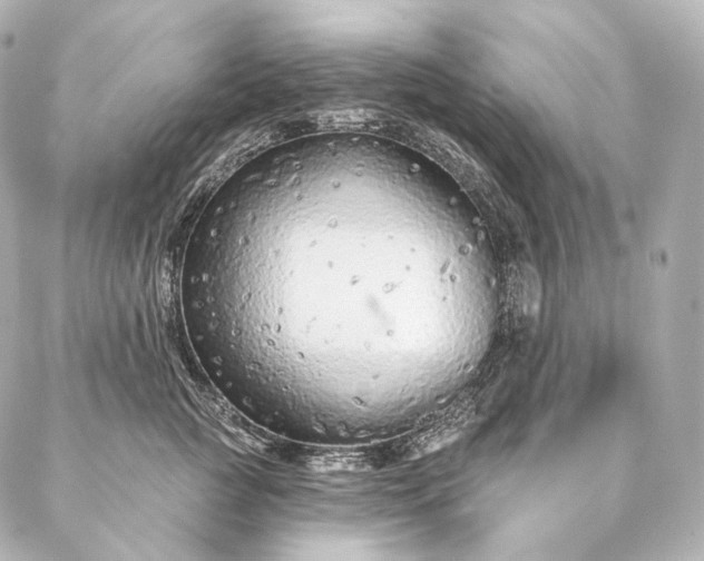 X0000086950761200704231425