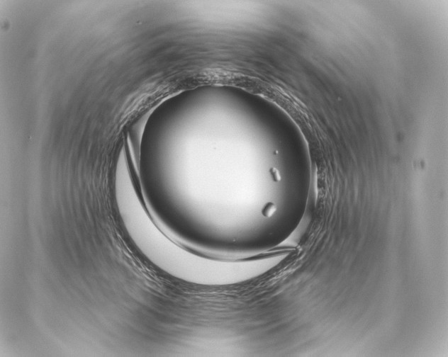 X0000086950762200704231425