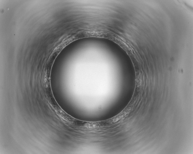 X0000086950764200704231425