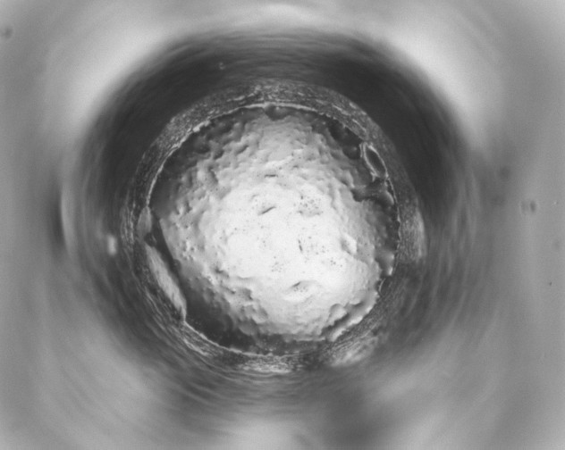 X0000086950765200704231425