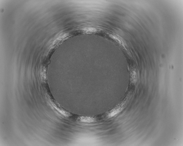 X0000086950766200704231425