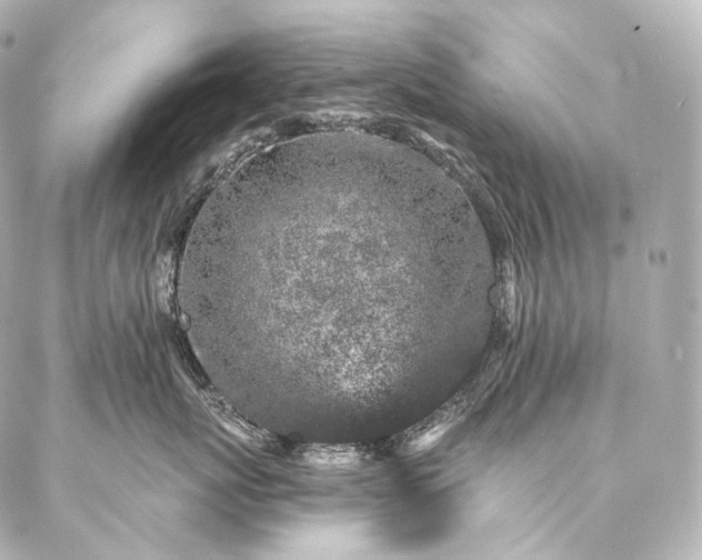 X0000086950767200704231425