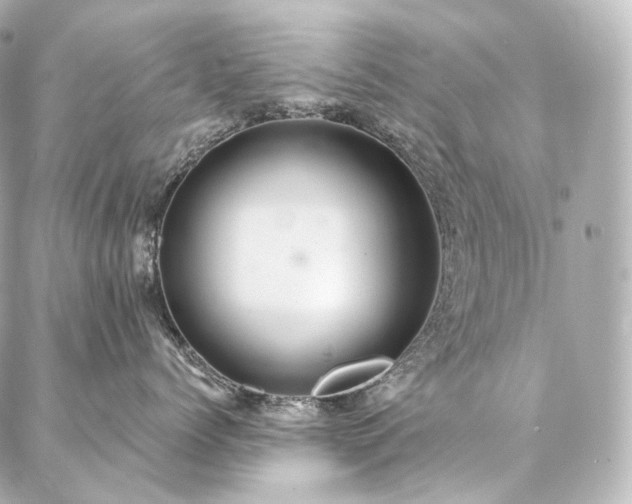 X0000086950768200704231425