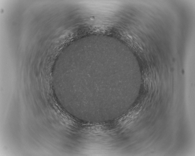 X0000086950769200704231425