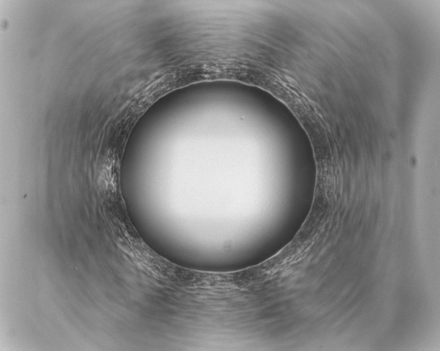 X0000086950770200704231425