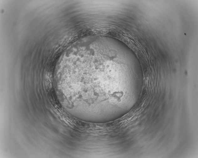 X0000086950772200704231424