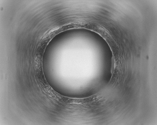 X0000086950773200704231424