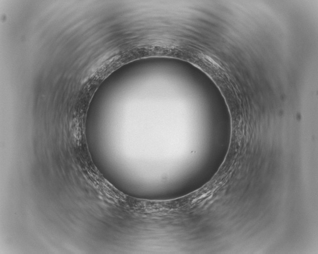 X0000086950774200704231424