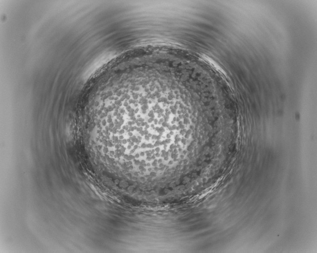 X0000086950775200704231424