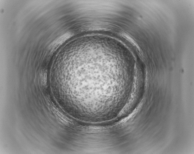 X0000086950777200704231424