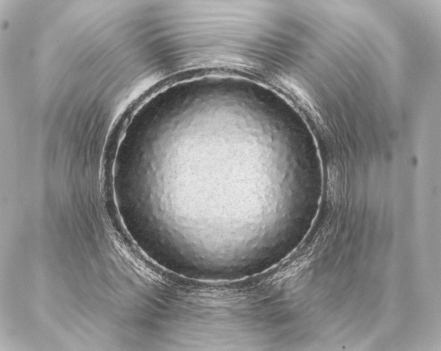 X0000086950780200704231424