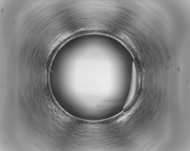 X0000086950781200704231424